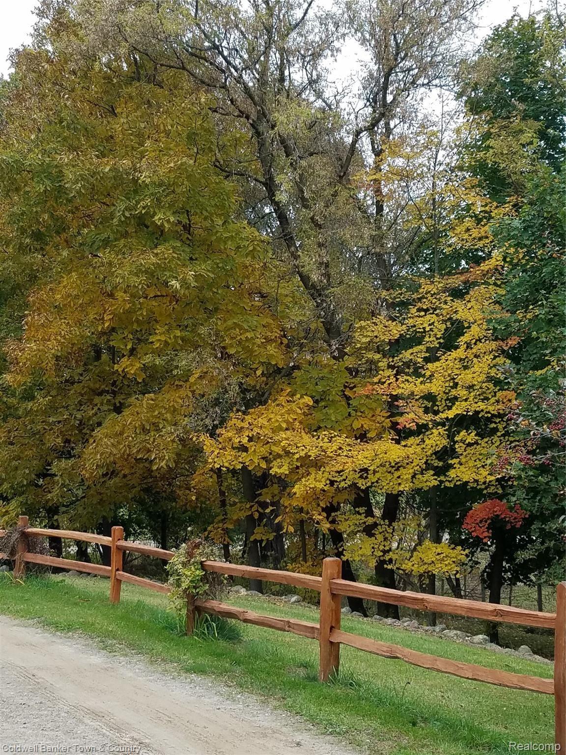2881 East Jones Road Howell, MI 48855 - Photo 75 of 76 Can't beat the trees in fall