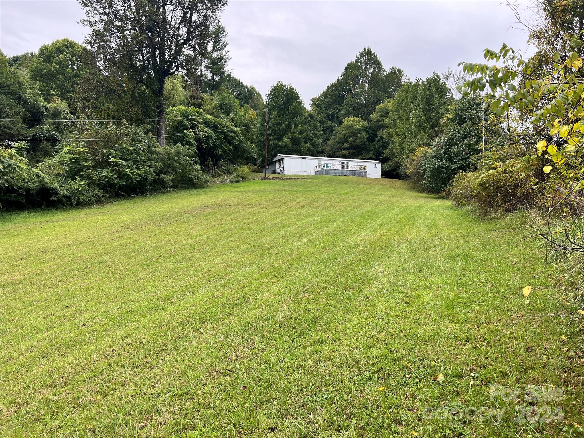 56 Thunder Ridge Road Saluda, NC 28773 - Photo 11 of 22 Gallery Image 11