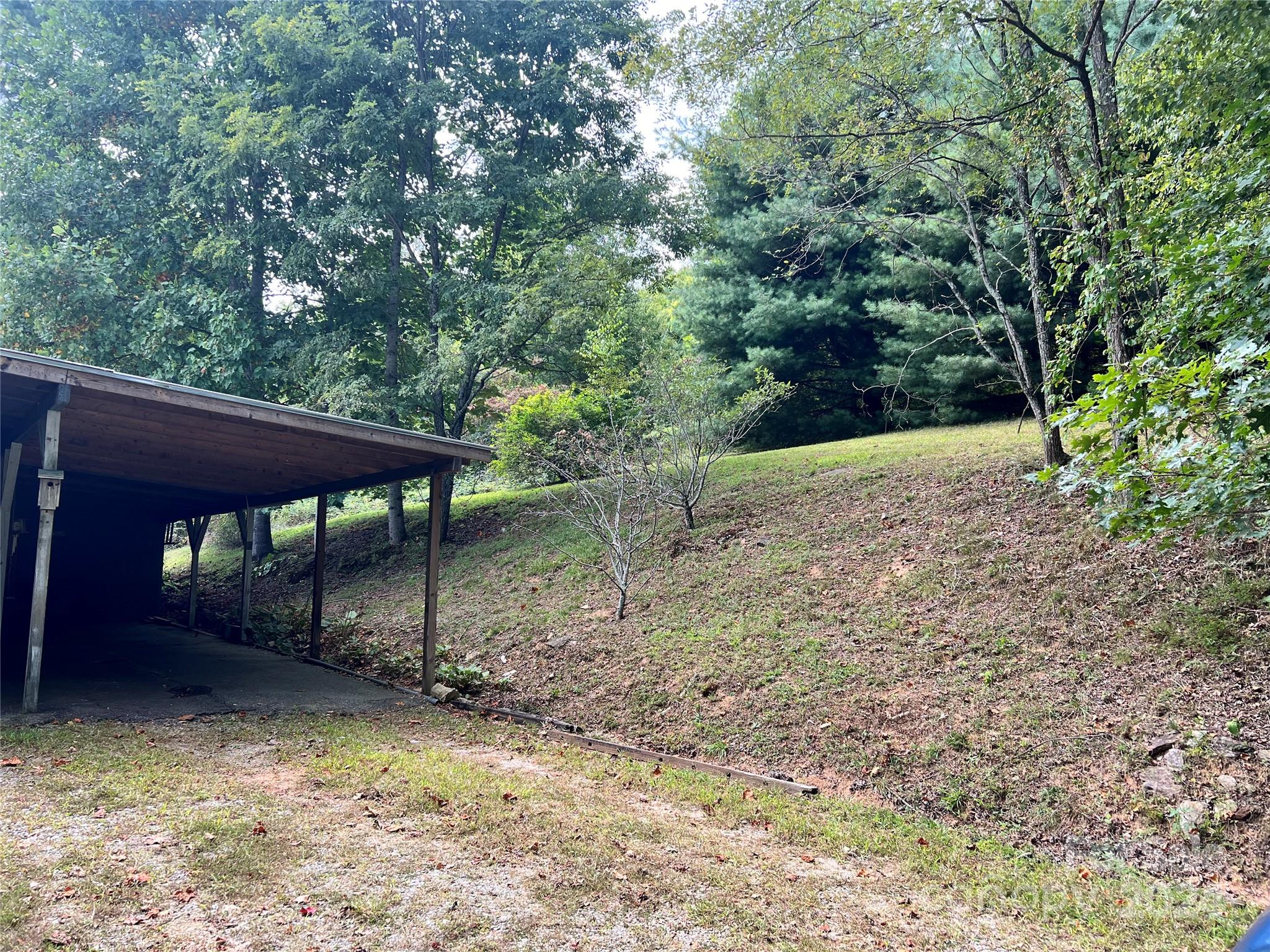 56 Thunder Ridge Road Saluda, NC 28773 - Photo 15 of 22 Gallery Image 15