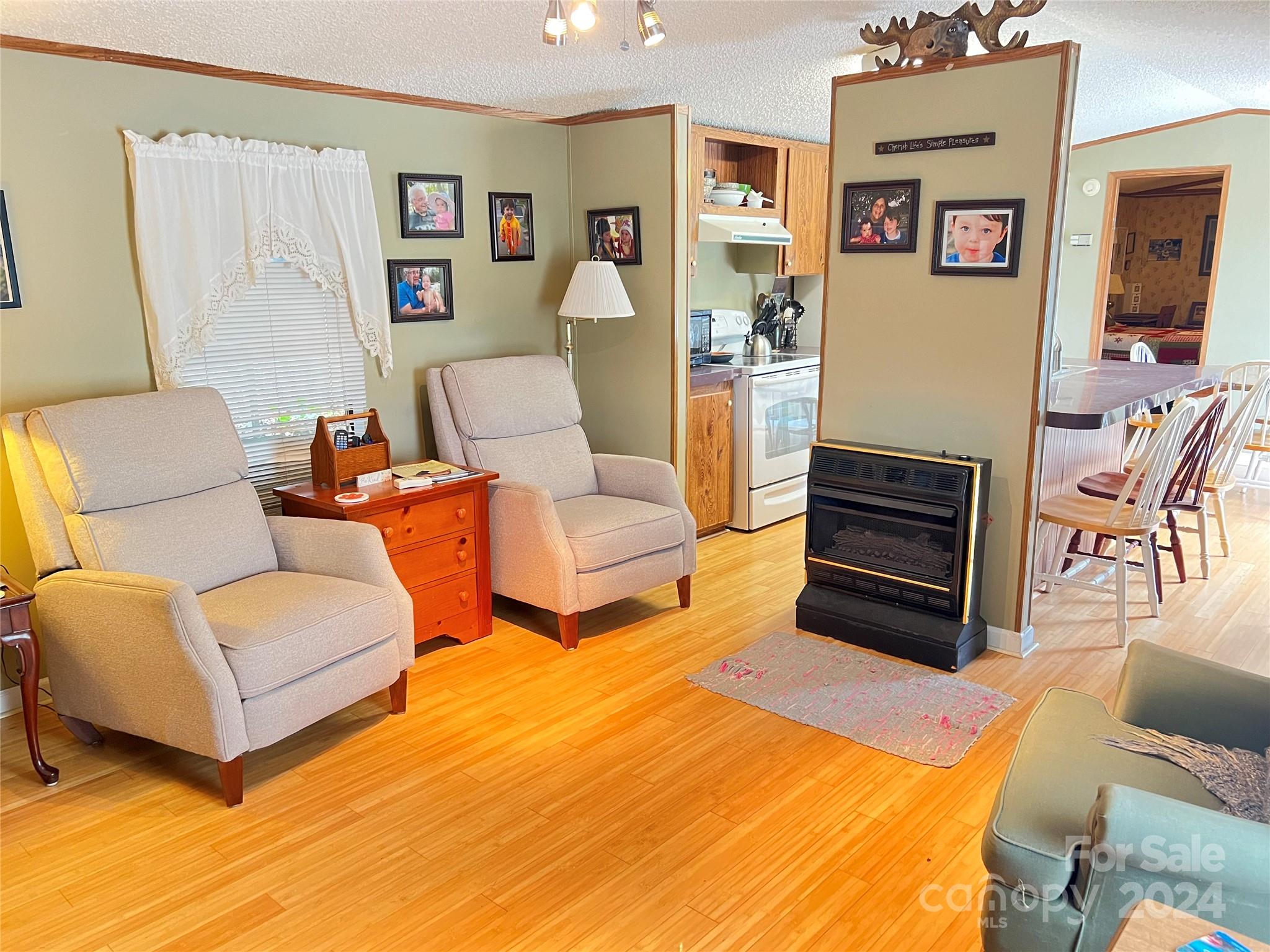 56 Thunder Ridge Road Saluda, NC 28773 - Photo 16 of 22 Gallery Image 16