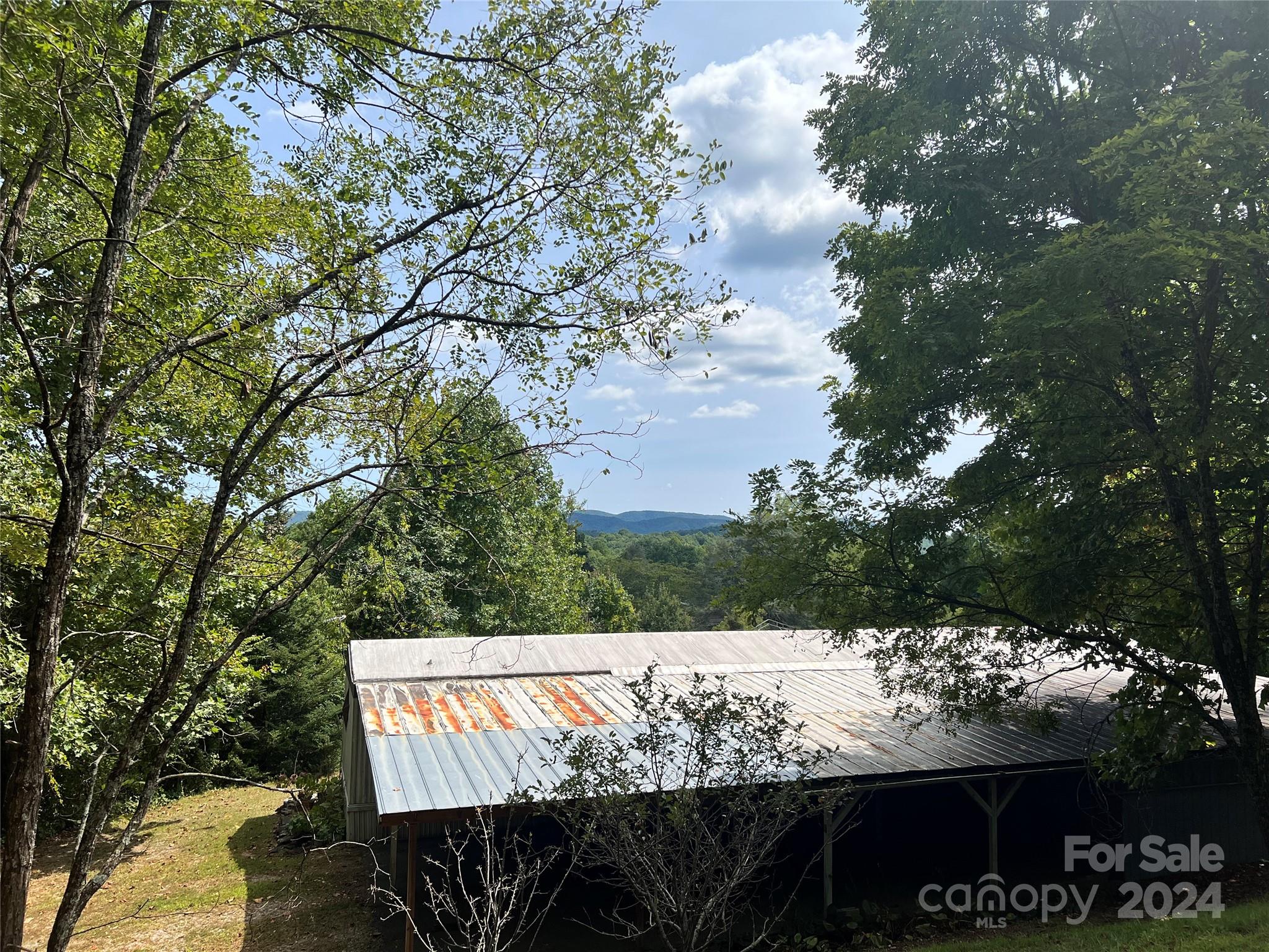56 Thunder Ridge Road Saluda, NC 28773 - Photo 6 of 22 Gallery Image 6