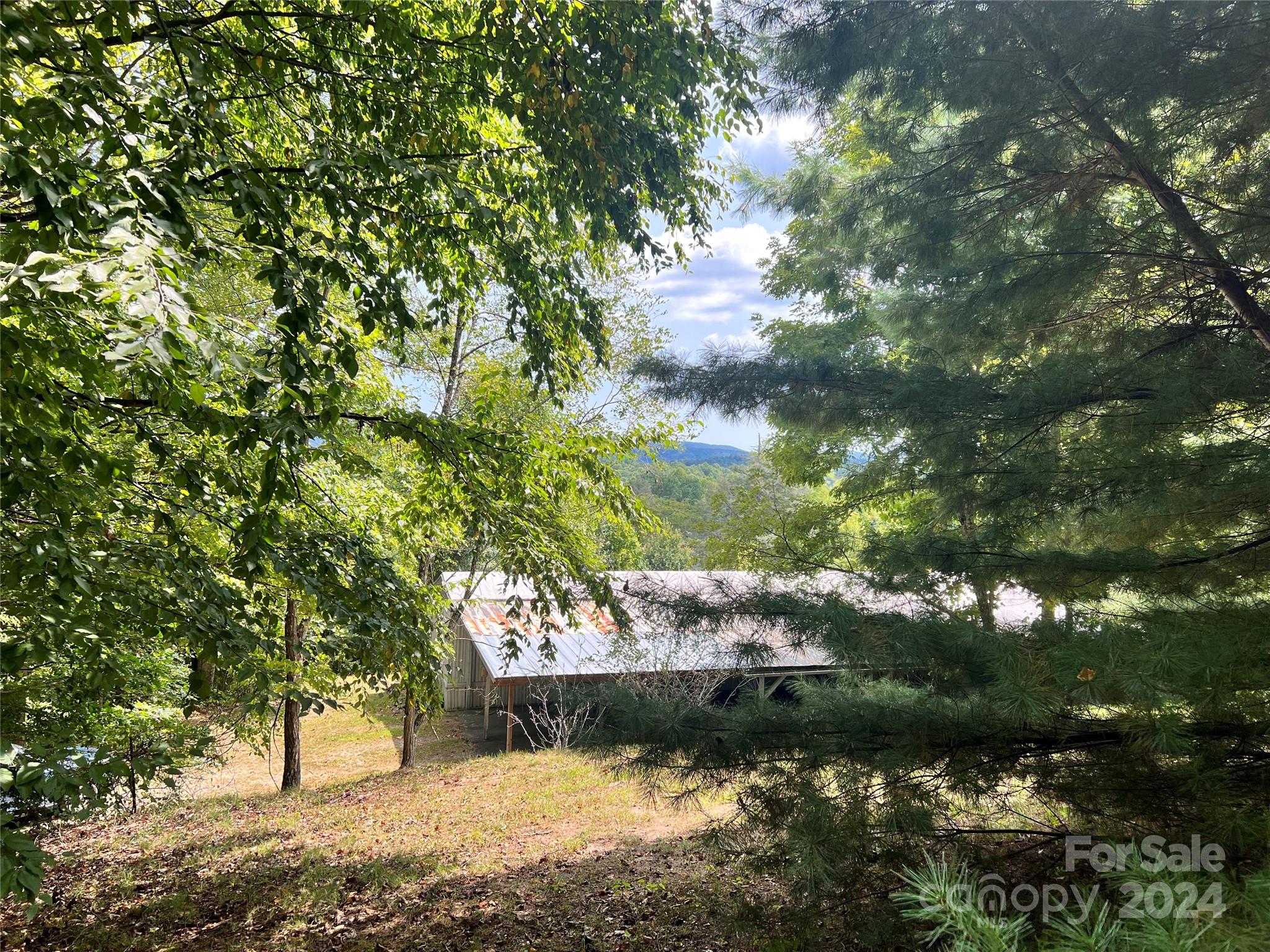 56 Thunder Ridge Road Saluda, NC 28773 - Photo 7 of 22 Gallery Image 7