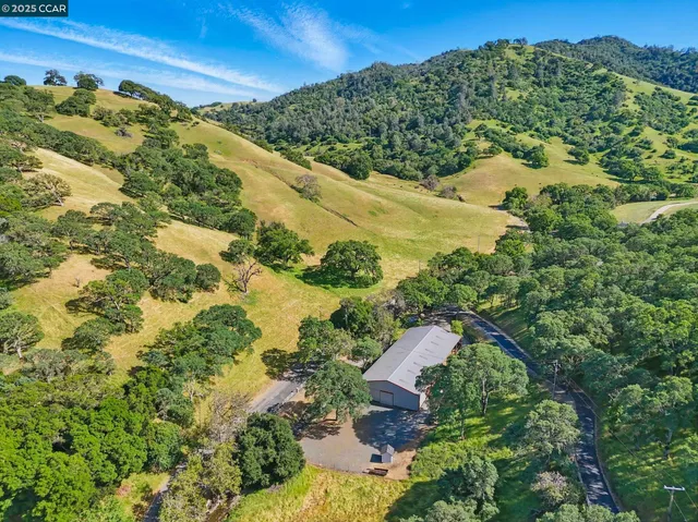 a view of a yard with a tree