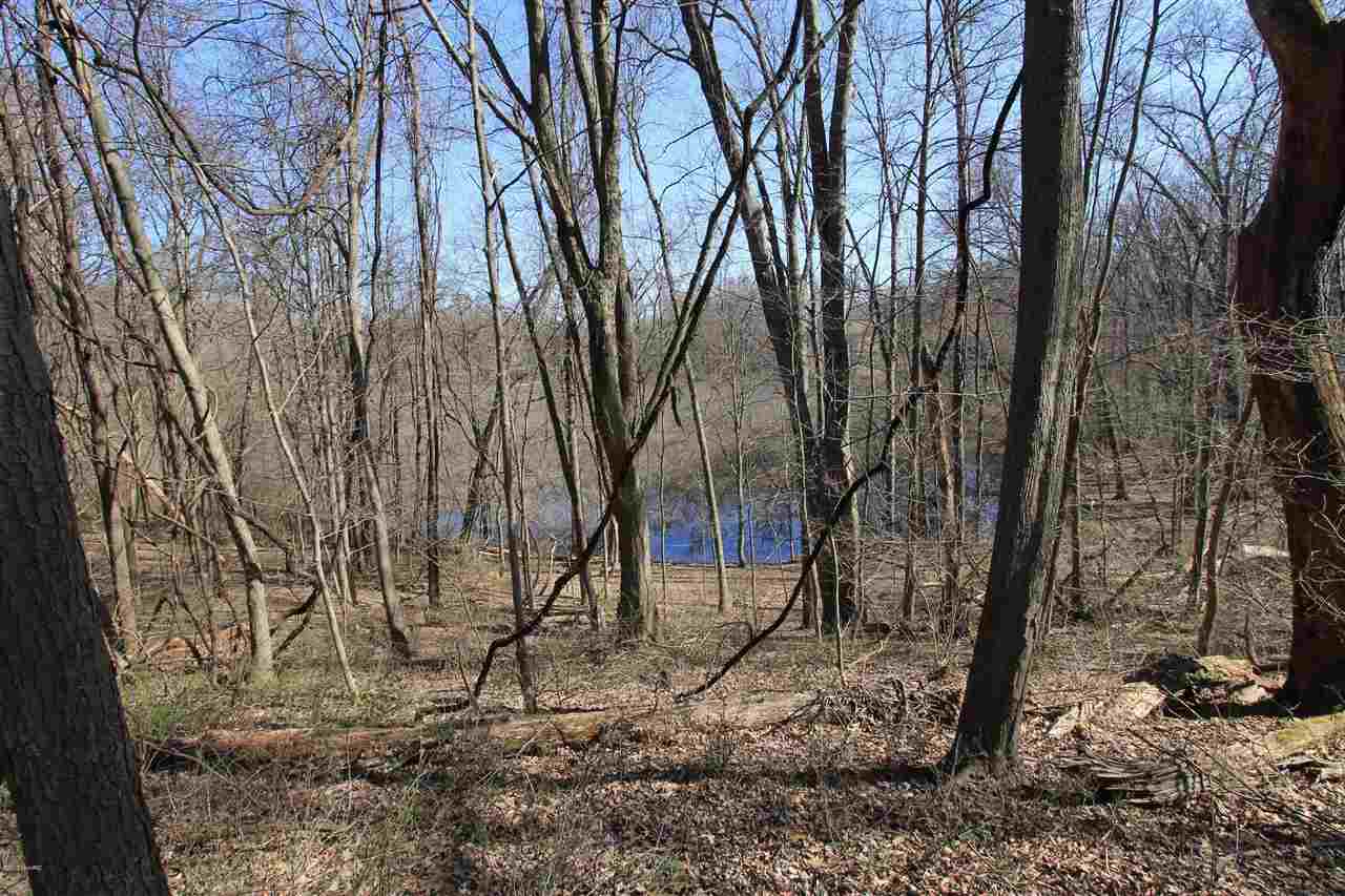 Vl E Par Oak Forest Road Buchanan, MI 49107 - Photo 7 of 9 Gallery Image 7