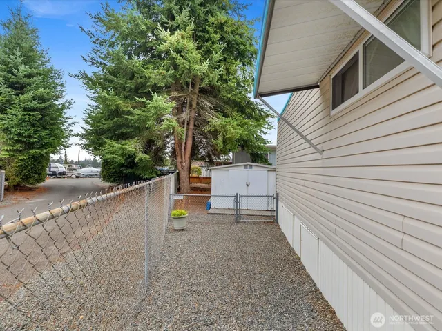 a view of a backyard with plants