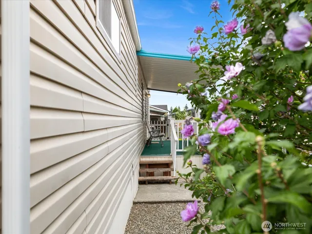 a view of a backyard