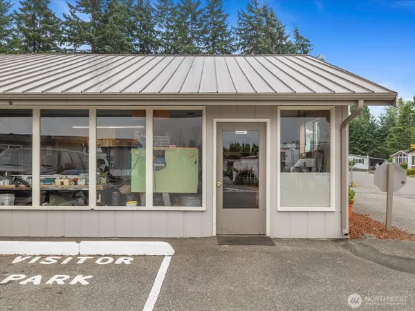 a view of backyard and tree