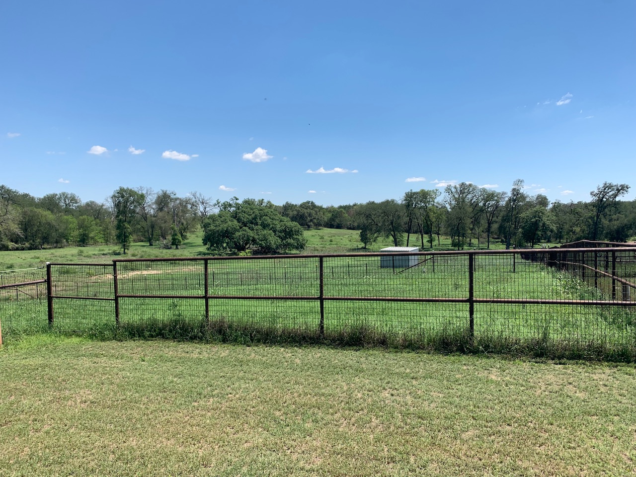 133 Clearfork Road Lockhart, TX 78644 - Photo 11 of 19 a view of a back yard