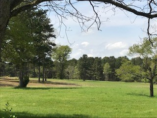 Lot T-2 Lot T-2 Burkelo Road Wagener, SC 29164 - Photo 14 of 15