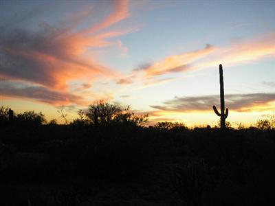 10610 West Mars Road Tucson, AZ 85743 - Photo 2 of 4