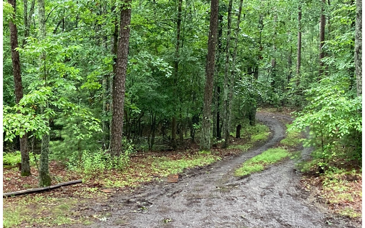 451 Johnson Road Murphy, NC 28906 - Photo 2 of 31 Additional View