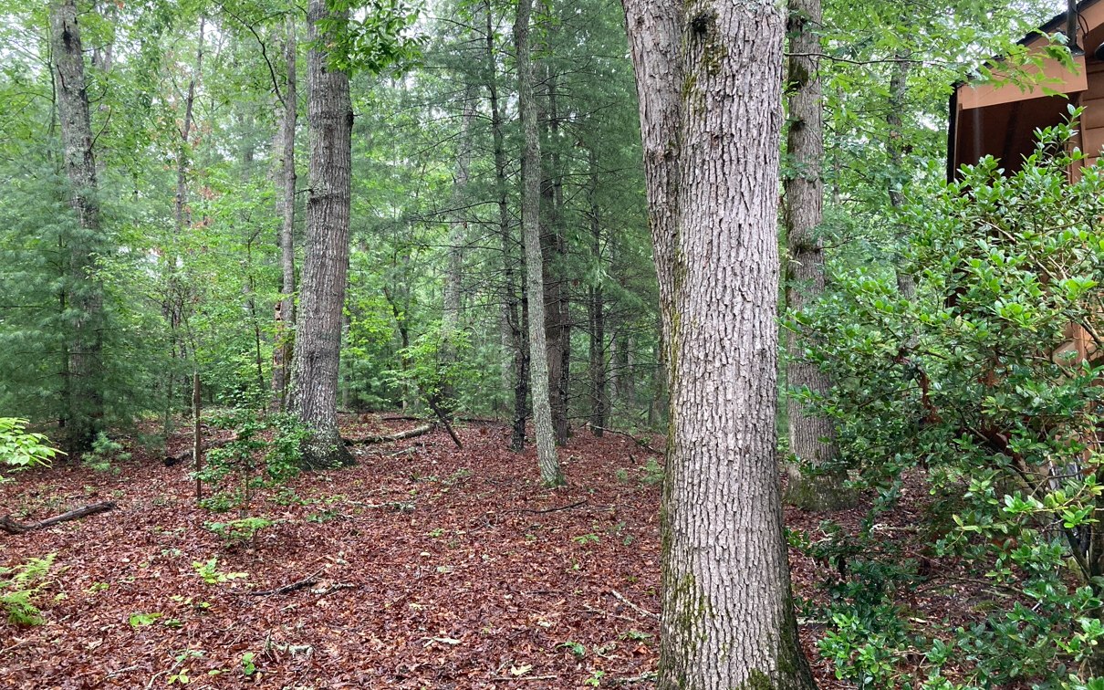 451 Johnson Road Murphy, NC 28906 - Photo 28 of 31 Additional View