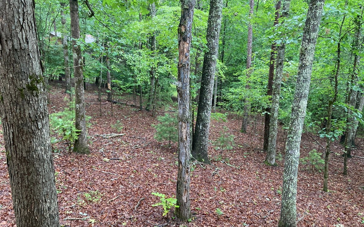 451 Johnson Road Murphy, NC 28906 - Photo 29 of 31 Additional View