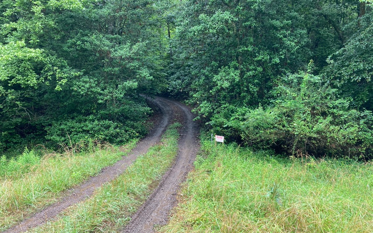 451 Johnson Road Murphy, NC 28906 - Photo 30 of 31 Additional View