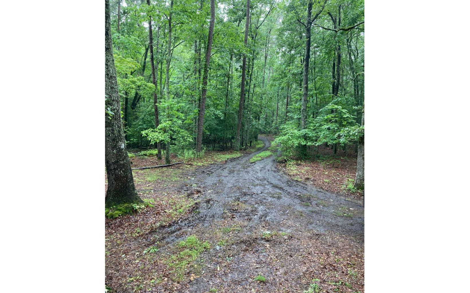 451 Johnson Road Murphy, NC 28906 - Photo 31 of 31 Additional View