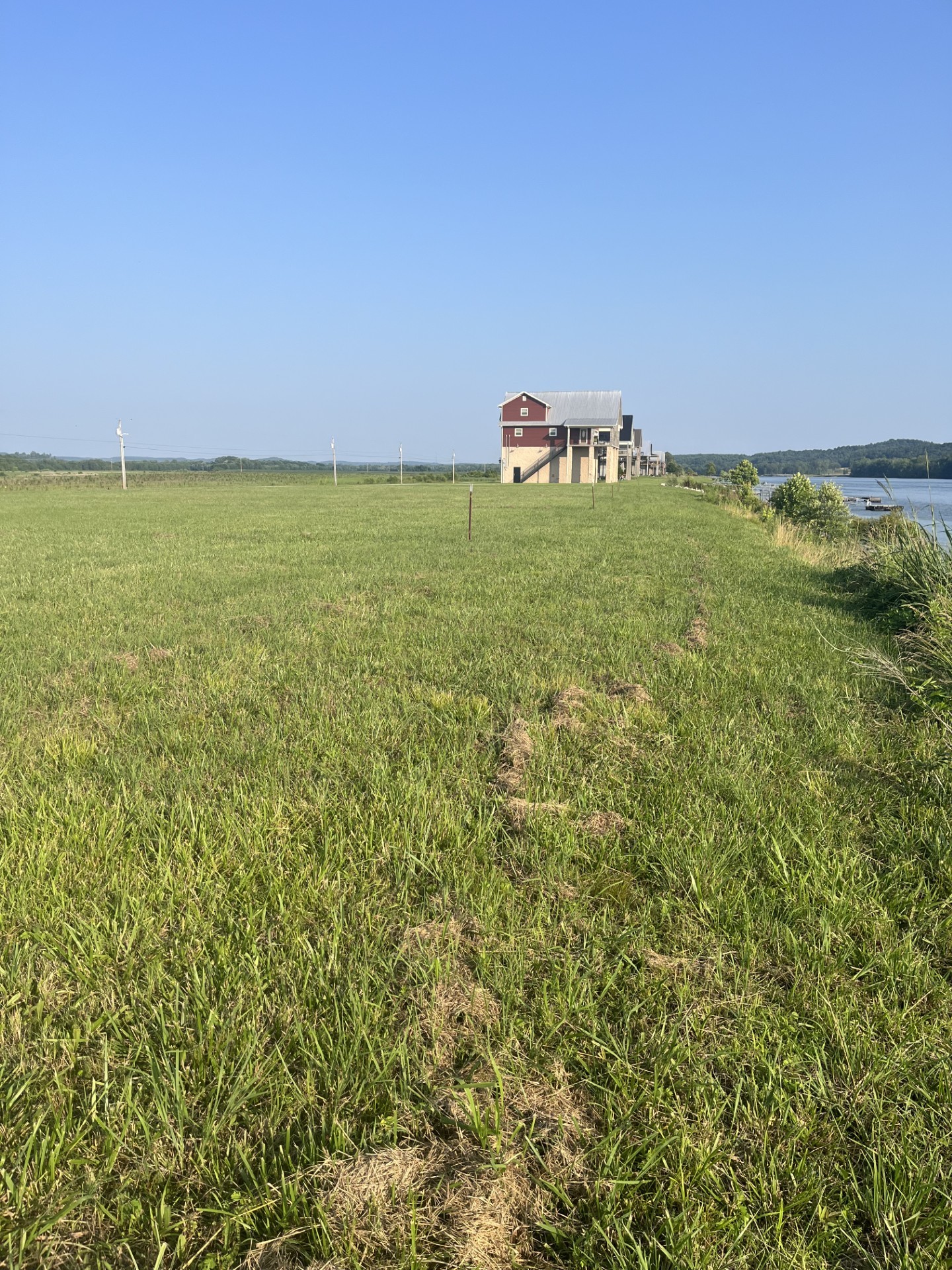 1505 Hardin Bottom Road Clifton, TN 38425 - Photo 3 of 8 Gallery Image 3
