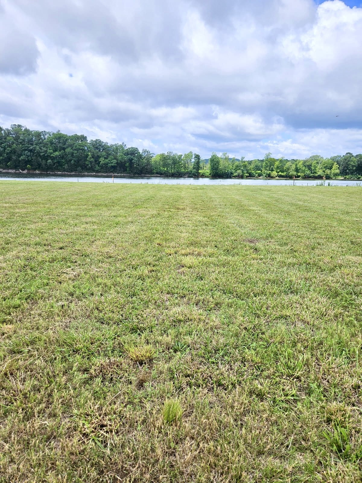 1505 Hardin Bottom Road Clifton, TN 38425 - Photo 7 of 8 Gallery Image 7