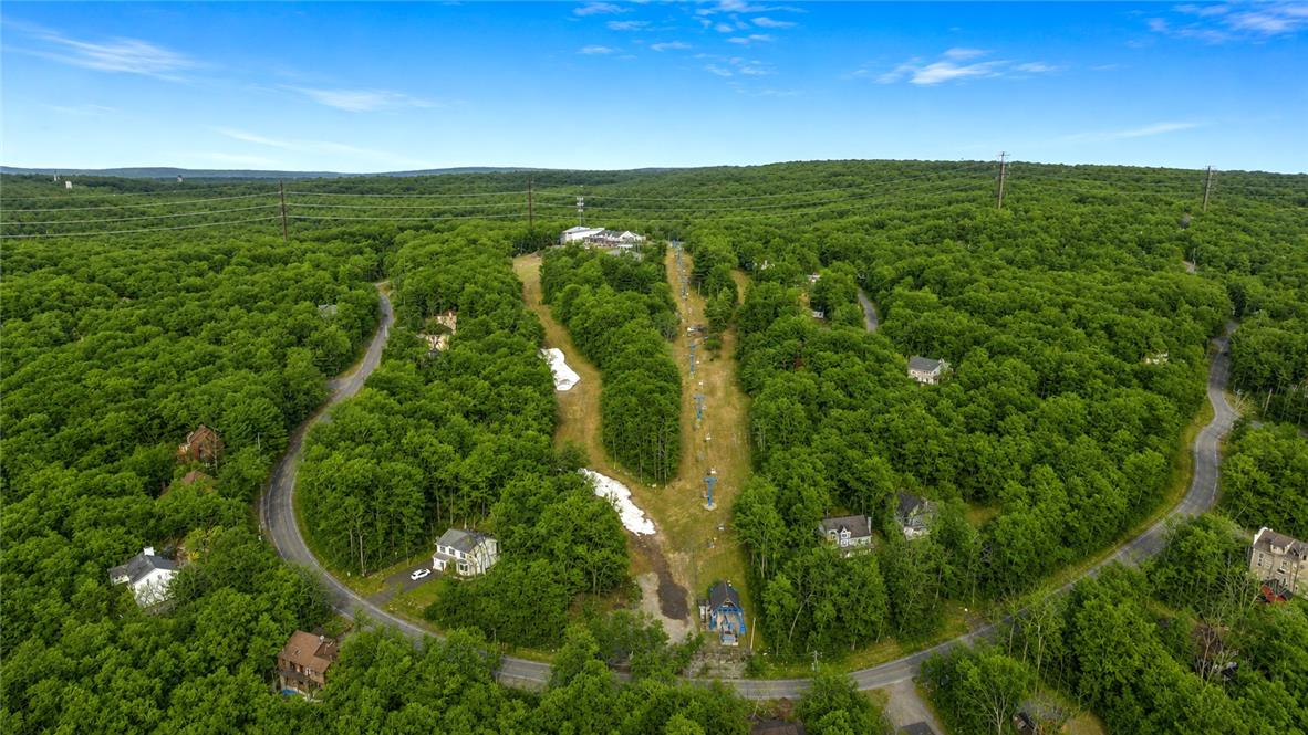 1007 Hampstead Road Bushkill, PA 18324 - Photo 55 of 72 An aerial perspective reveals a winding road through verdant forest, leading to a ski slope with scattered homes.