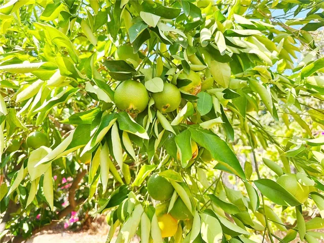 $3,950 | 1149 South Rimsdale Drive, West Covina, CA 91791