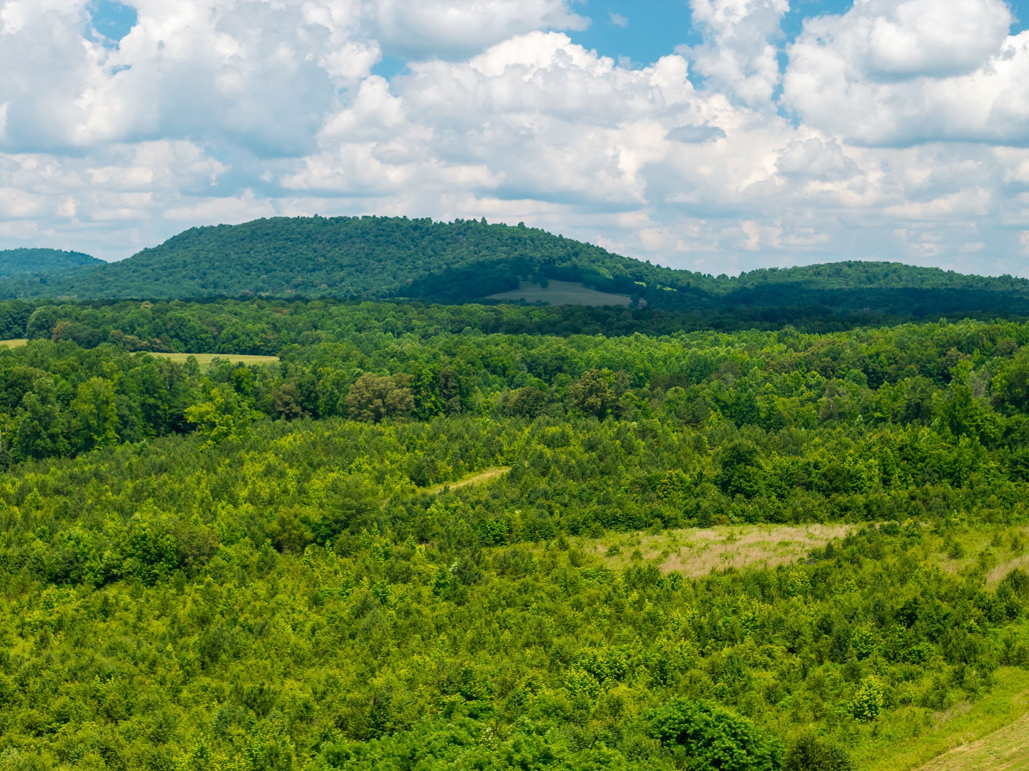 0 Gunter Road McMinnville, TN 37110 - Photo 11 of 24