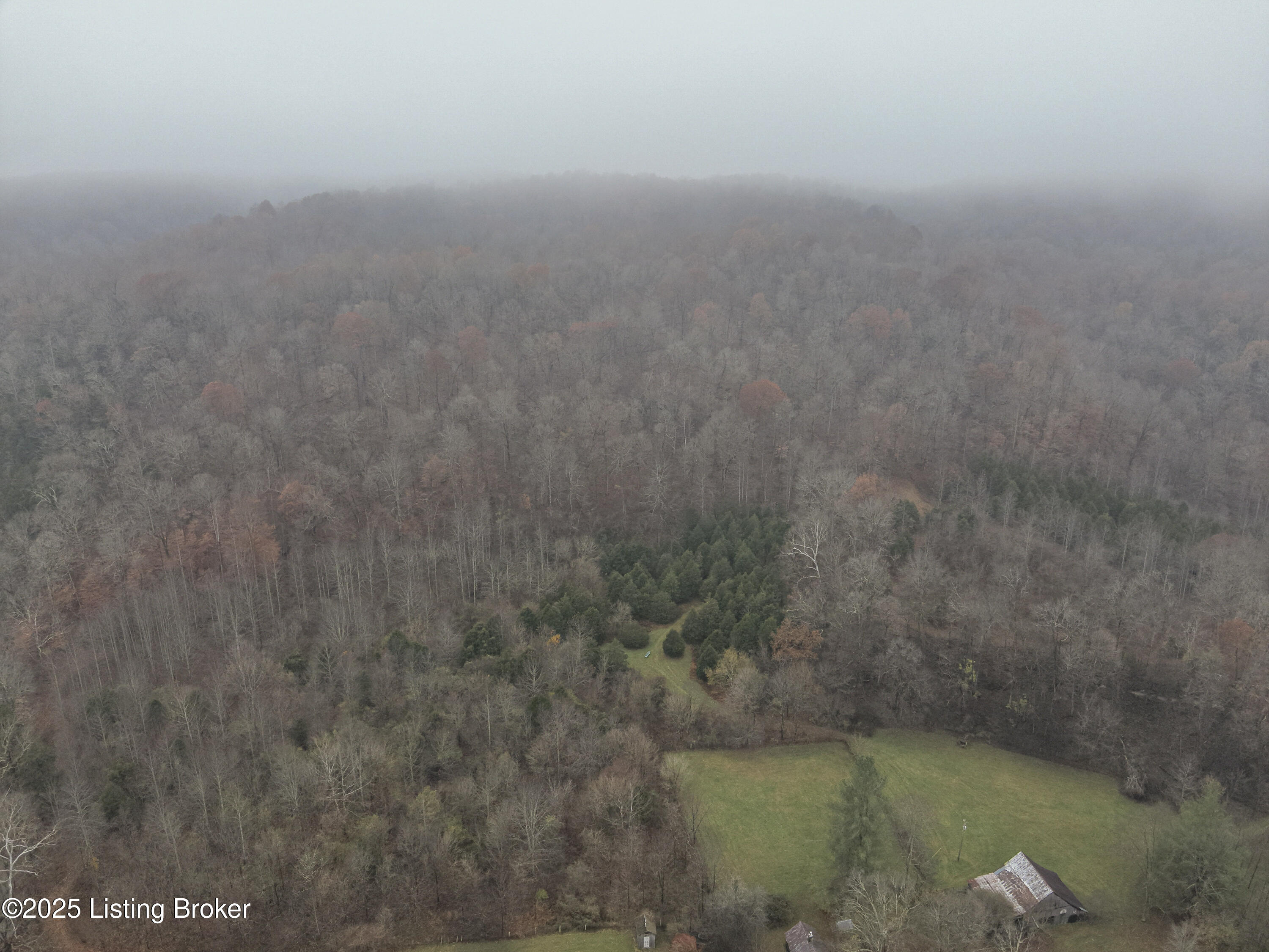 3095 Herbert Howell Road Hodgenville, KY 42748 - Photo 33 of 80 19-DJI_20251119122500_0009_W