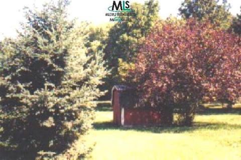 245 Wood Road Snover, MI 48472 - Photo 4 of 4 387541-3.JPG
