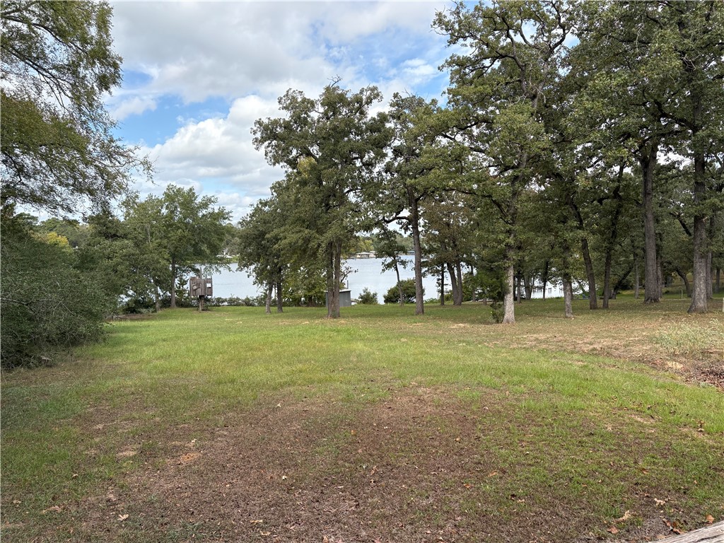 254 C Hoppess Road Franklin, TX 77856 - Photo 9 of 23 Gallery Image 9