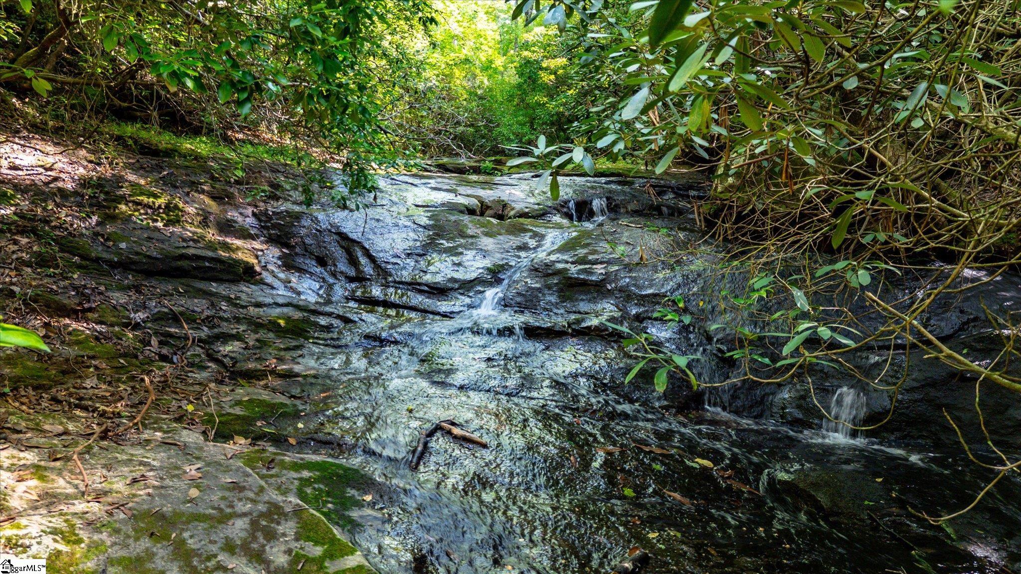 1100 Mile Creek Road Pickens, SC 29671 - Photo 46 of 50