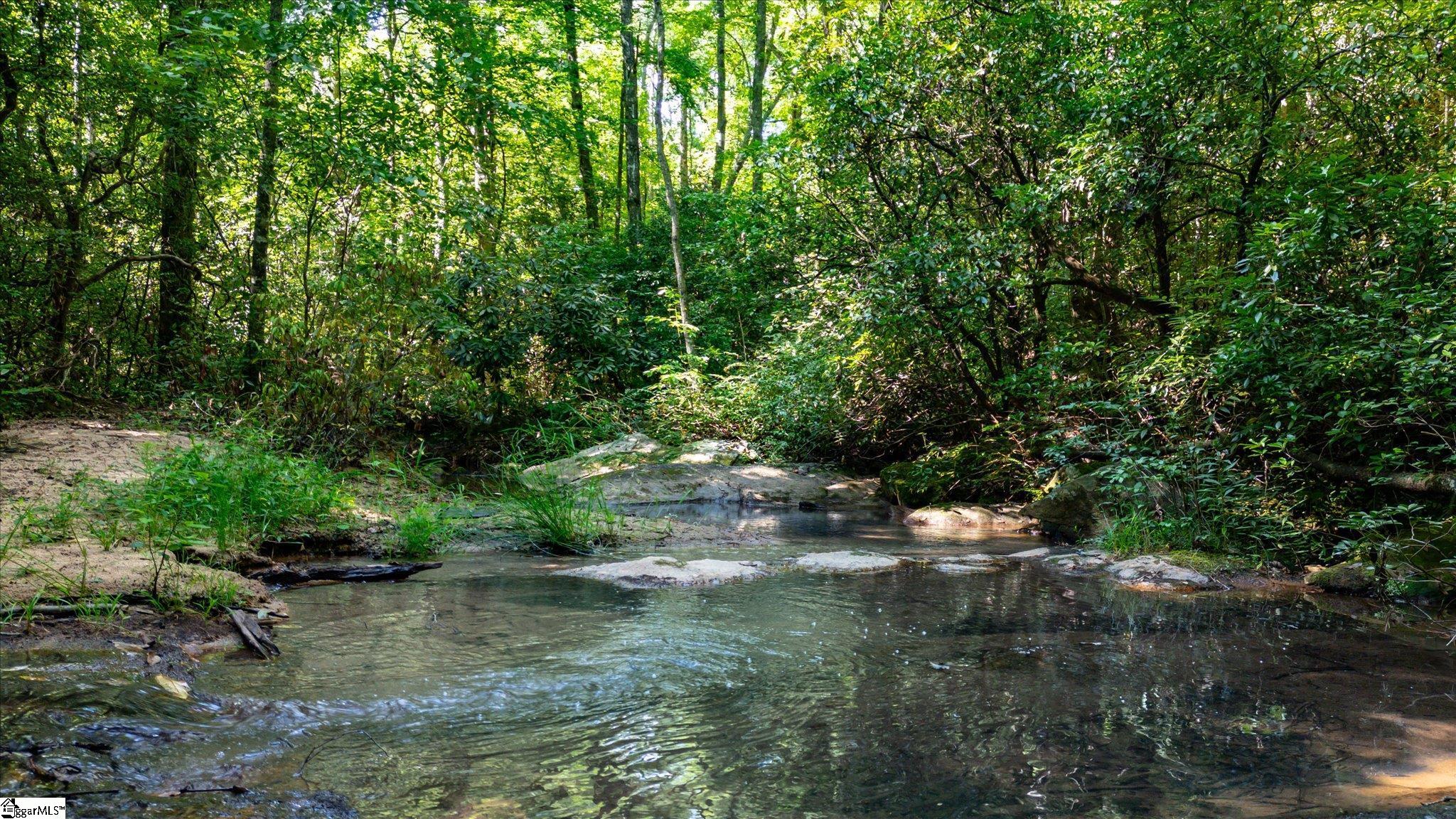 1100 Mile Creek Road Pickens, SC 29671 - Photo 47 of 50