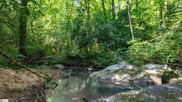 $1,250,000 | 1100 Mile Creek Road, Pickens, SC 29671