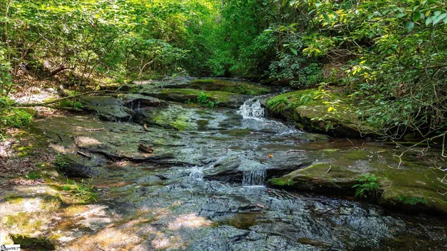 $1,250,000 | 1100 Mile Creek Road, Pickens, SC 29671