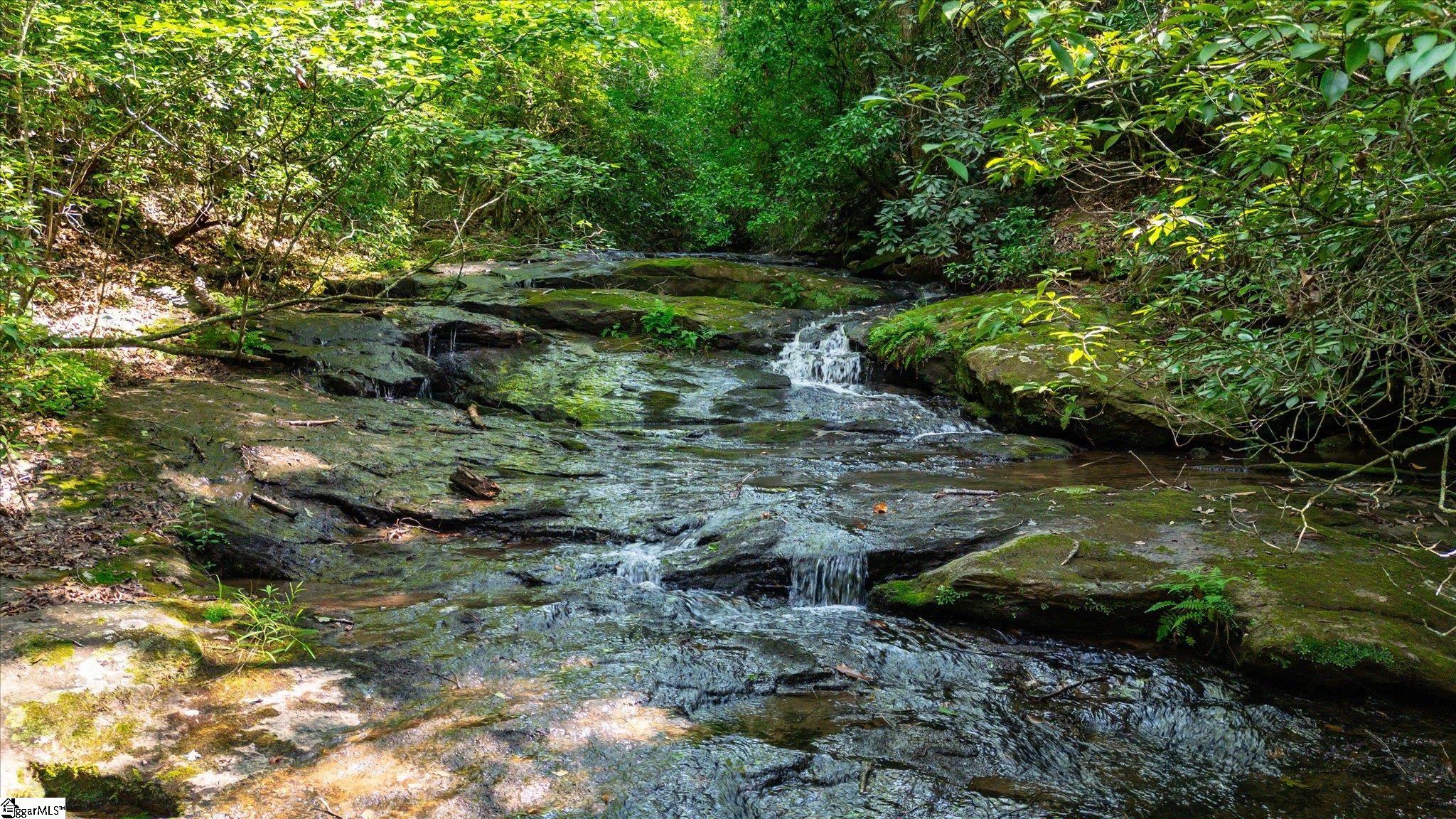 1100 Mile Creek Road Pickens, SC 29671 - Photo 49 of 50