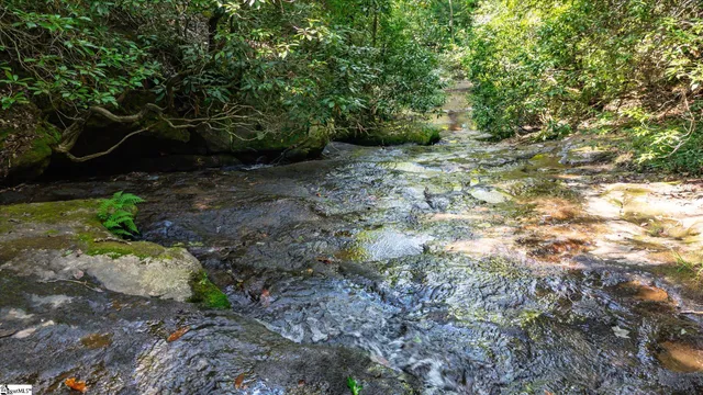 $1,250,000 | 1100 Mile Creek Road, Pickens, SC 29671