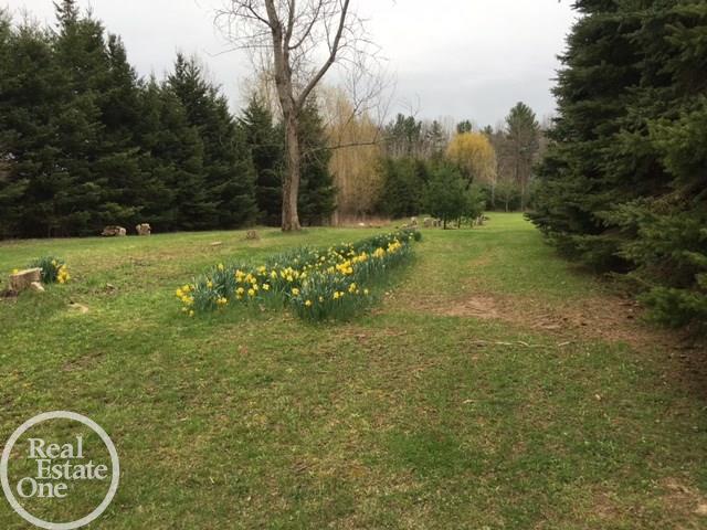 6595 Comstock Road Jeddo, MI 48032 - Photo 54 of 56 31288901-53.JPG