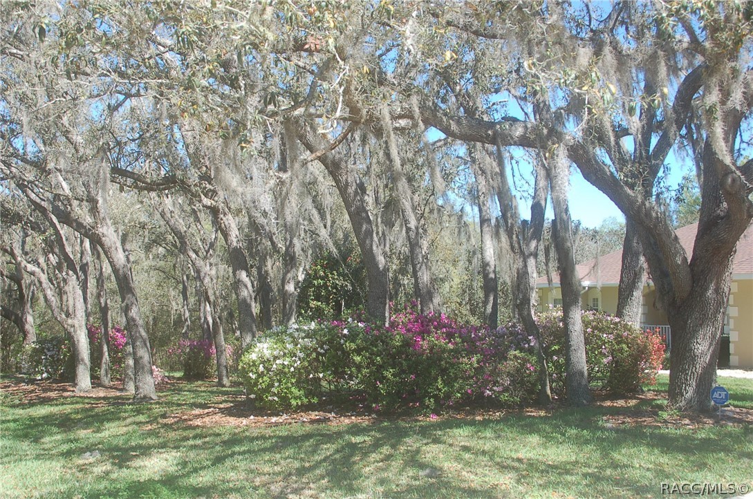 4161 North Longvalley Road Hernando, FL 34442 - Photo 66 of 71