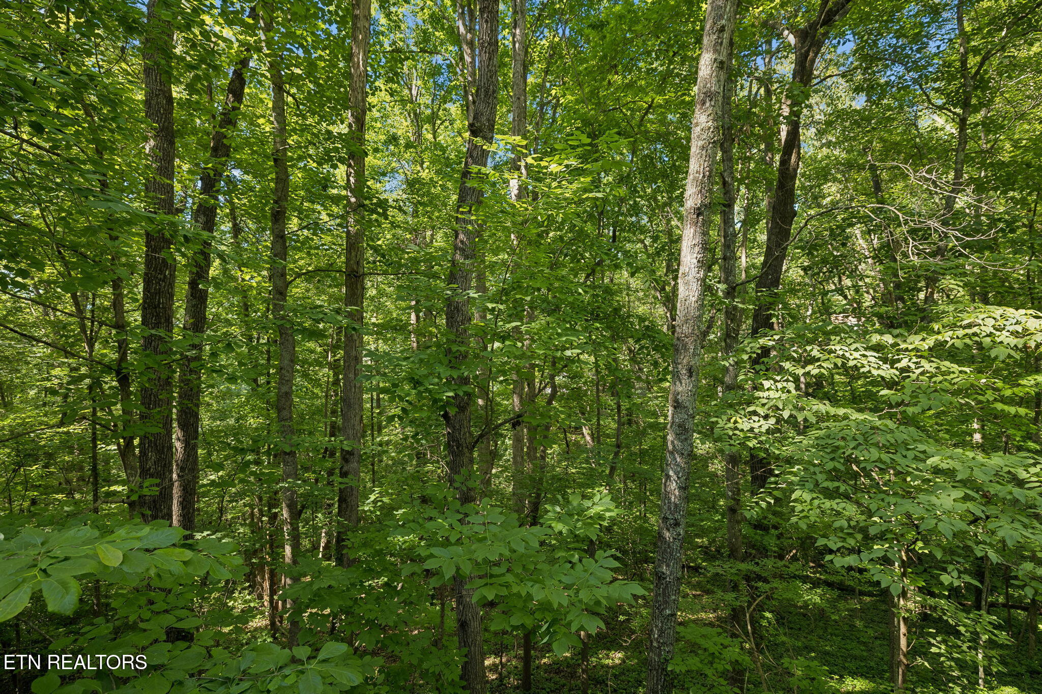 107 Neville Lane Oak Ridge, TN 37830 - Photo 53 of 58 48-107 Neville Ln - 048