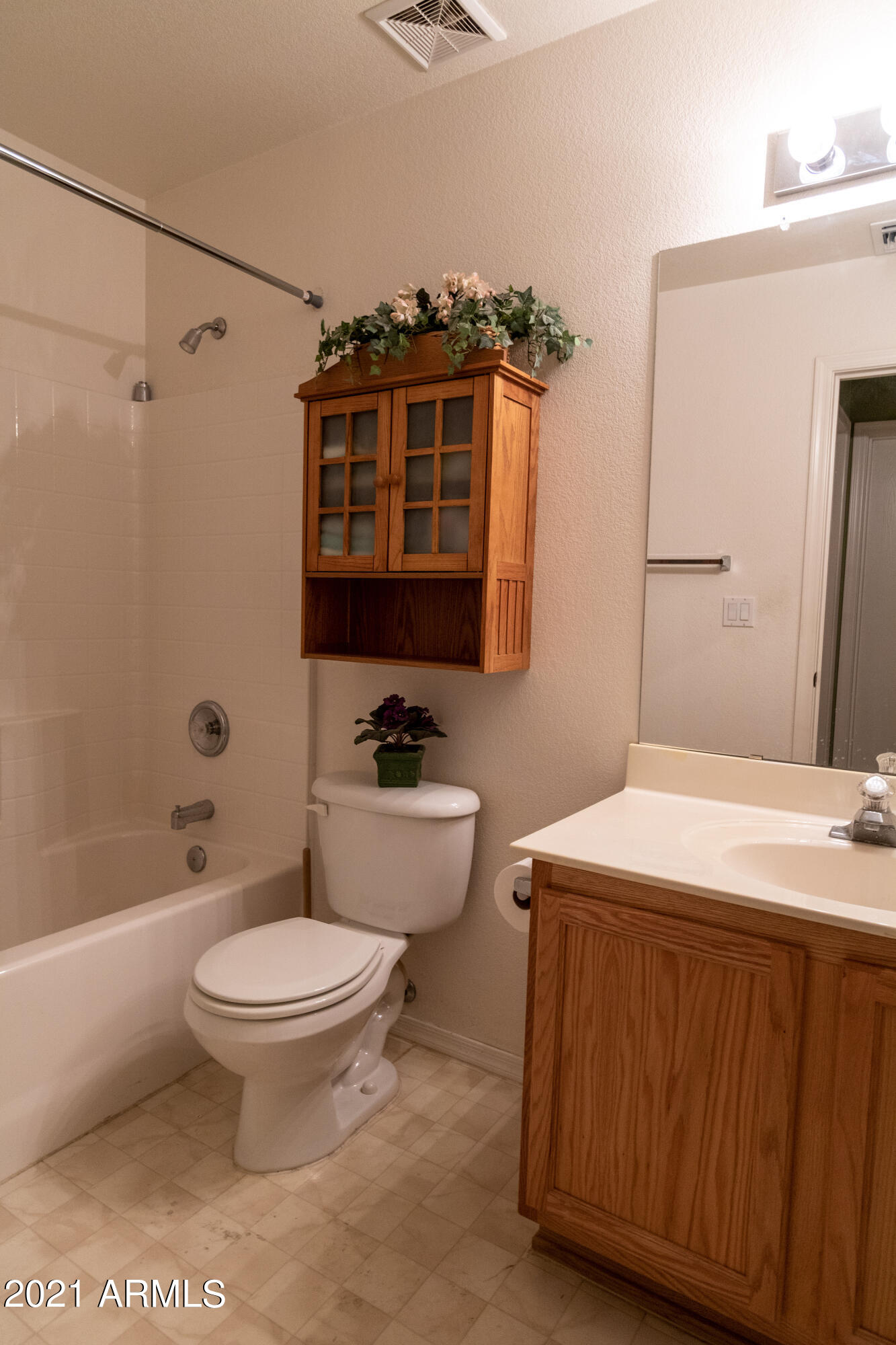 10437 East Butte Street Apache Junction, AZ 85120 - Photo 12 of 25 12 Guest Bath V1