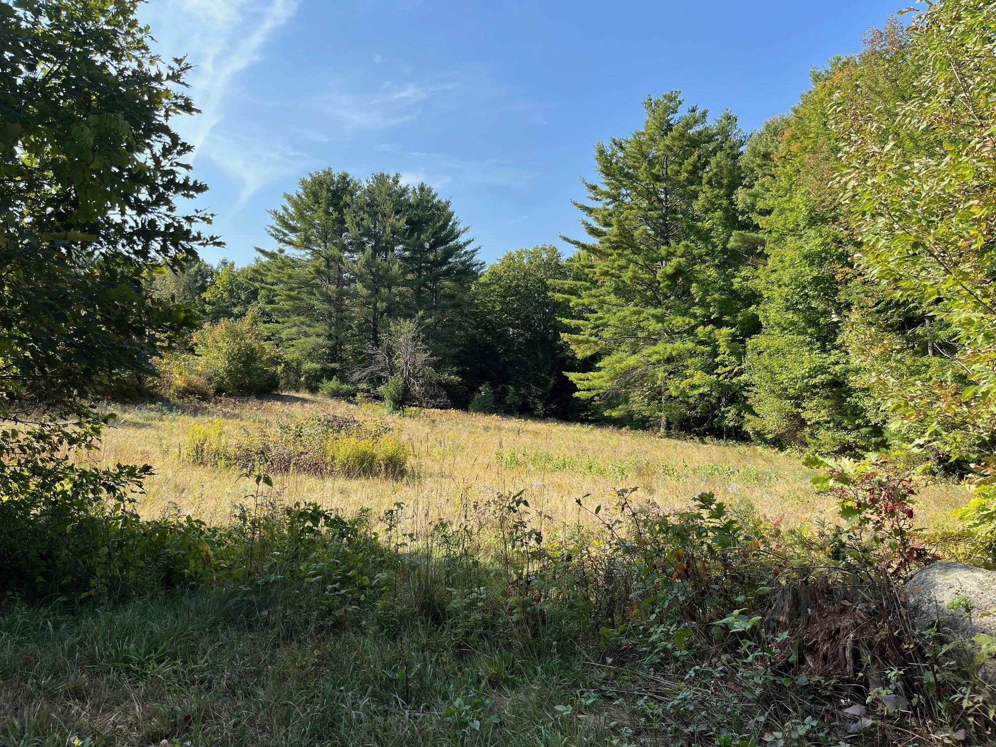 New Garden Road Wolfeboro, NH 03894 - Photo 1 of 1 Gallery Image 1