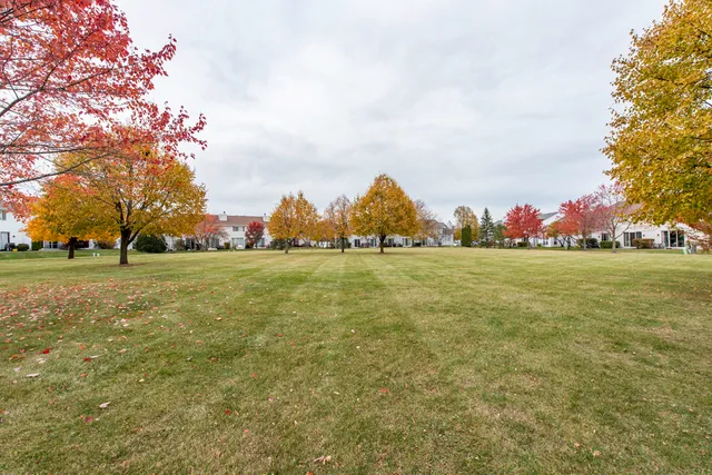 a view of yard with trees
