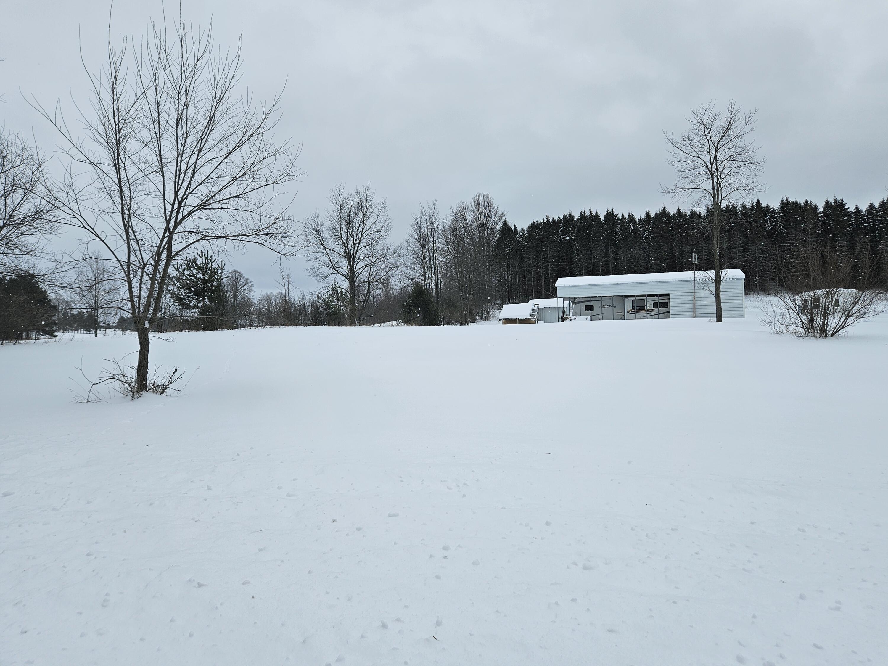 V/l East 14 Road Manton, MI 49663 - Photo 2 of 5 1000020689