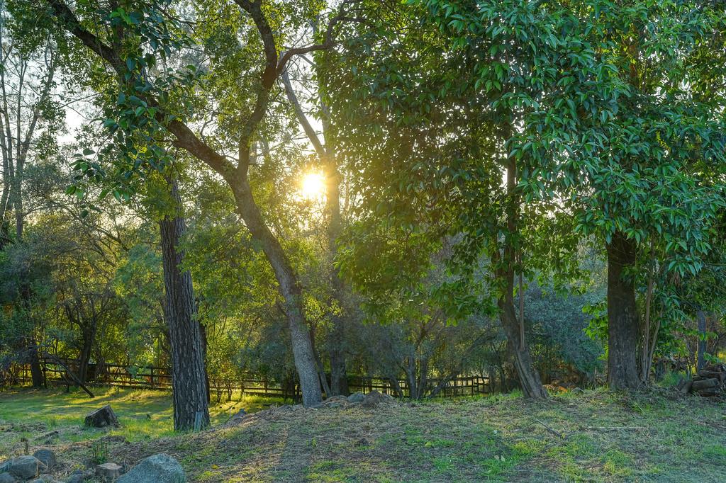 2636 Shirland Tract Road Auburn, CA 95603 - Photo 32 of 67