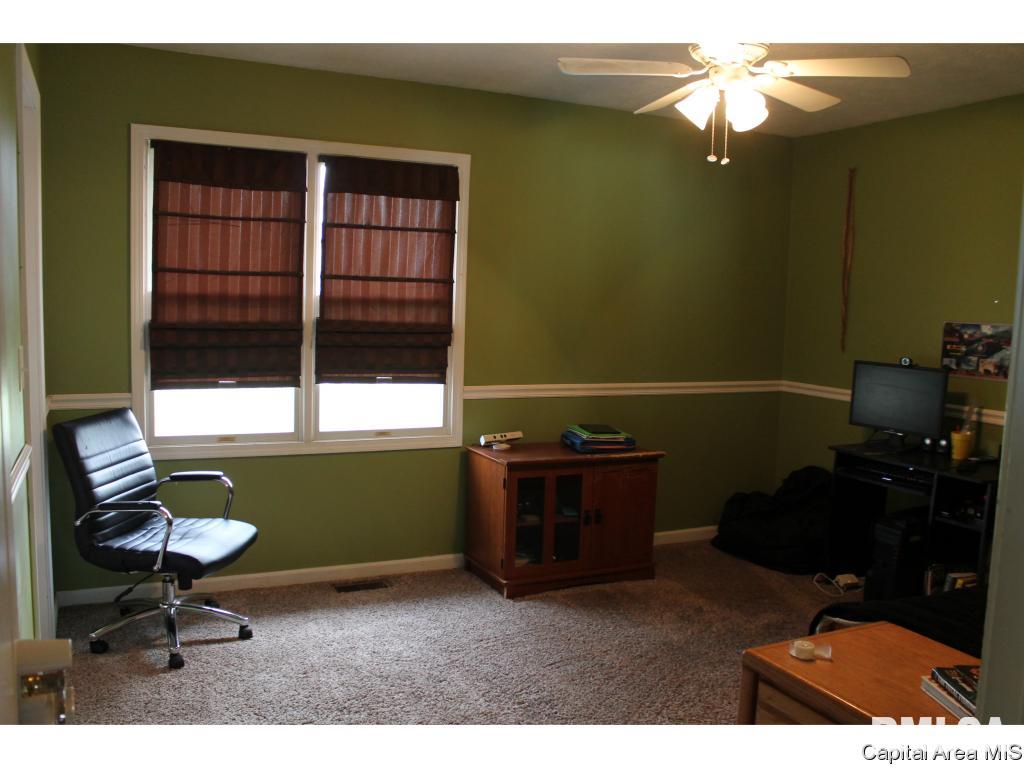 220 White Road Glenarm, IL 62536 - Photo 18 of 19 Gallery Image 18