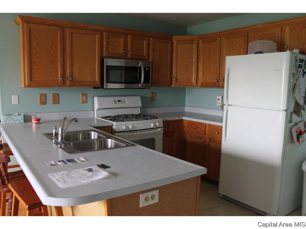 220 White Road Glenarm, IL 62536 - Photo 10 of 19 Gallery Image 10