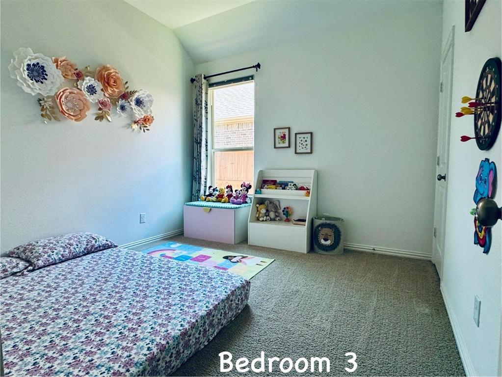 14065 Falcon Ranch Drive Frisco, TX 75035 - Photo 18 of 24