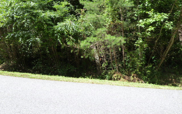 Lt3 Huntington Ridge Road Blairsville, GA 30512 - Photo 1 of 1 Main View