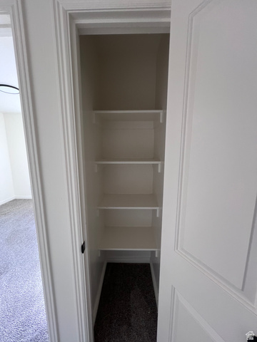 1696 South Longview Road Santaquin, UT 84655 - Photo 15 of 16 View of closet