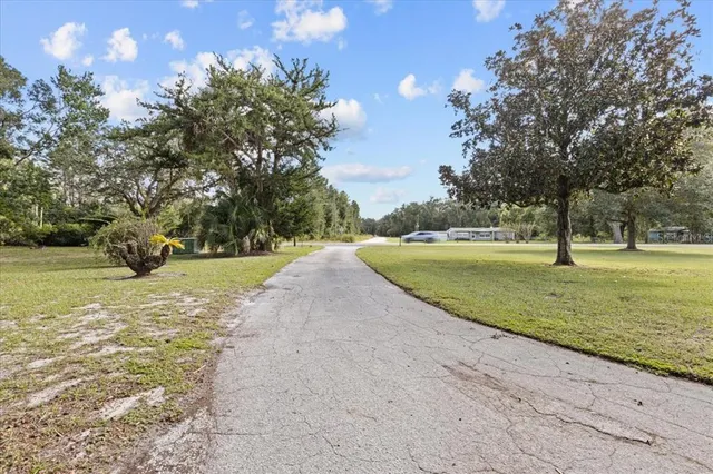 a view of a park with large trees with a big yard