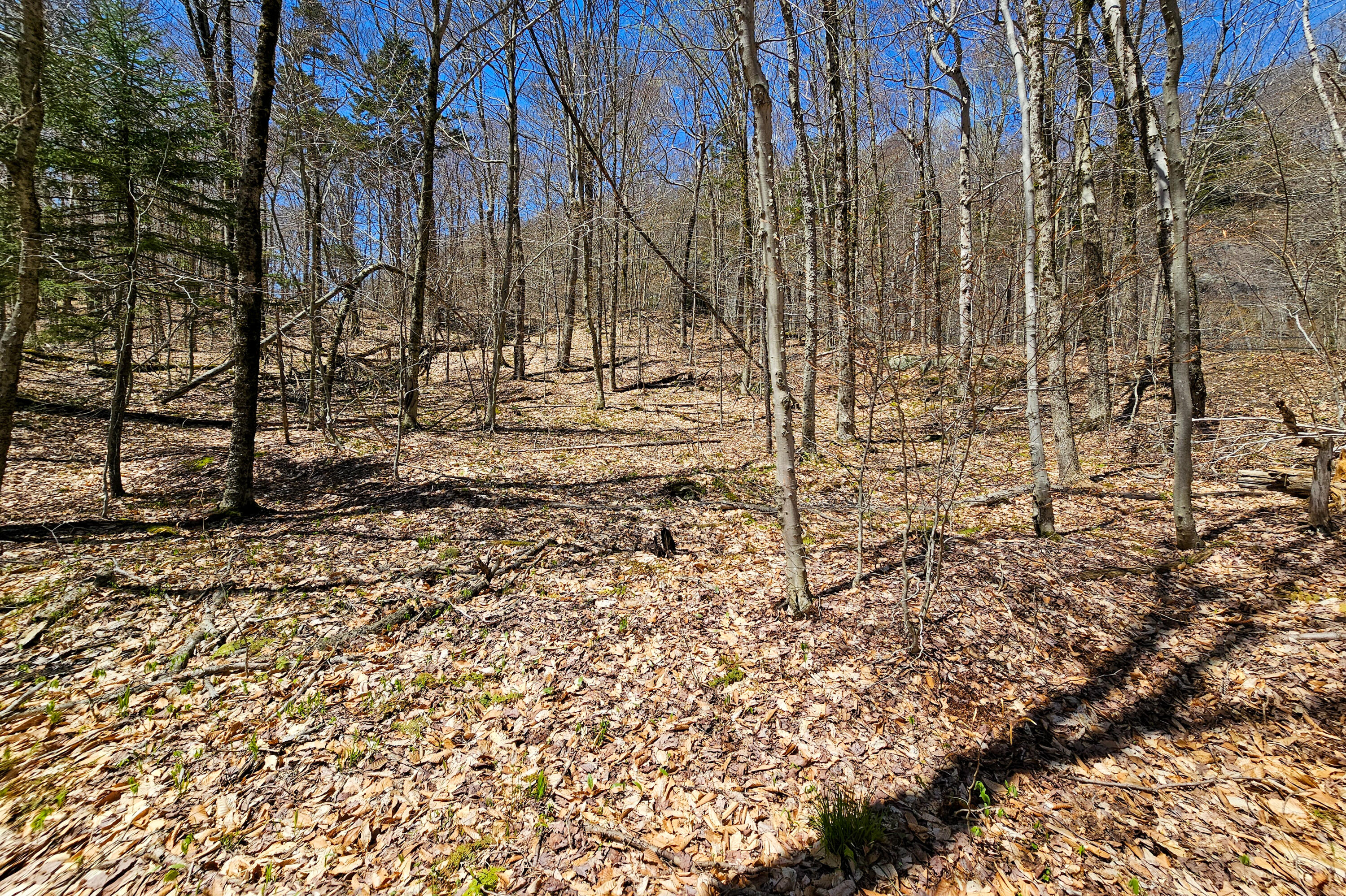 0 Palisades Road West Old Forge, NY 13420 - Photo 11 of 15 2.68 Acres