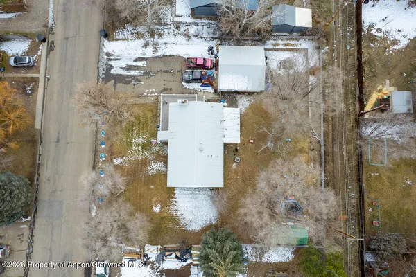 a view of a yard with a large tree