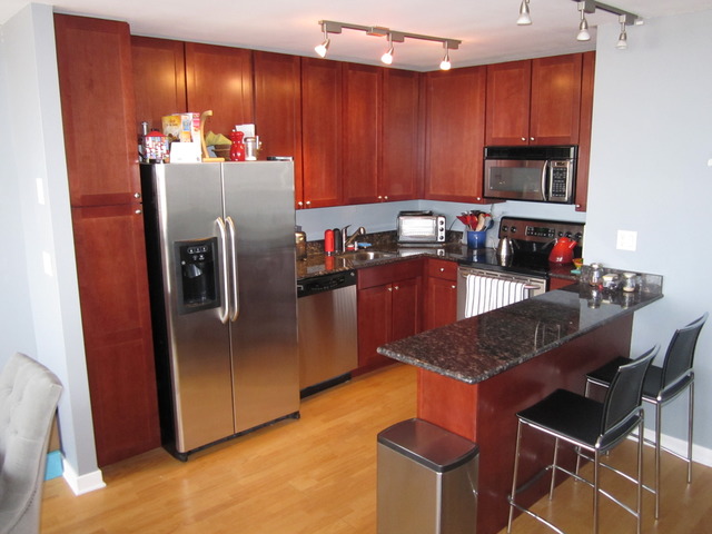 655 West Irving Park Road, Unit 5314 Chicago, IL 60613 - Photo 4 of 14